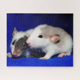 Baby Extravagant Pet Ratten Puzzle