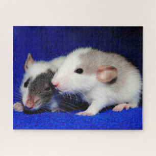 Baby Extravagant Pet Ratten Puzzle