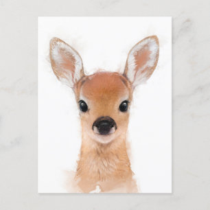 Baby Fawn Postcard Postkarte