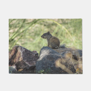 Baby-Felsen-Eichhörnchen Fußmatte