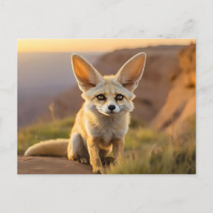Baby Fennec Fuchs auf Klippe Postkarte