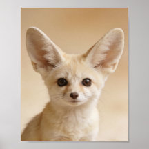 Baby-Fennec-Fuchs-Porträt – Süßes Kinderzimmer-Tie