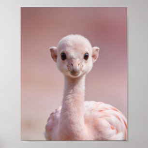 Baby-Flamingo-Porträt – Süße Kinderzimmer-Tier-Wan Poster