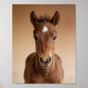 Baby-Fohlen-Porträt – Süße Kinderzimmer-Tier-Wandk Poster