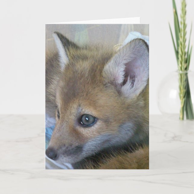 Baby Fox Grußkarte Karte (Vorderseite)