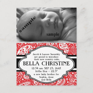 Baby-Geburt Mitteilung Land-Paisleys neue Ankündigung