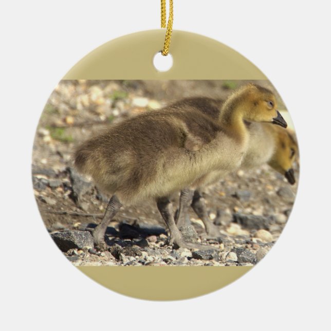 Baby Geese Foto Ornament (Vorne)