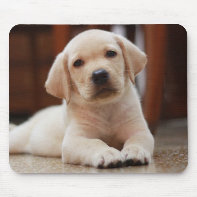 Baby-gelbes Labrador-Hündchen, das auf Bauch legt Mousepad (Vorne)