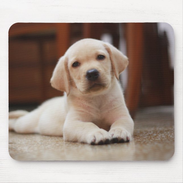Baby-gelbes Labrador-Hündchen, das auf Bauch legt Mousepad (Vorne)
