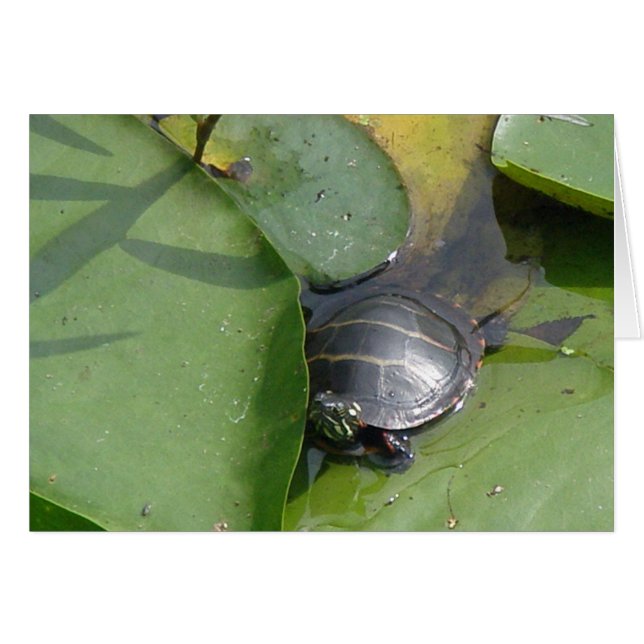 Baby gemalte Schildkröte auf Lilypad Einzelteilen (Vorderseite (Horizontal))