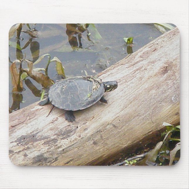 Baby gemalte Schildkröte Mousepad (Vorne)