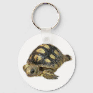 Baby Ghopher Schildkröte Schlüsselanhänger