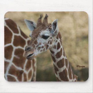 Baby-Giraffe 02 Mousepad