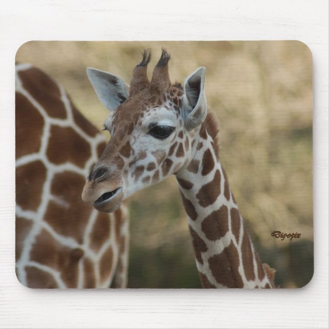 Baby-Giraffe 02 Mousepad (Vorne)