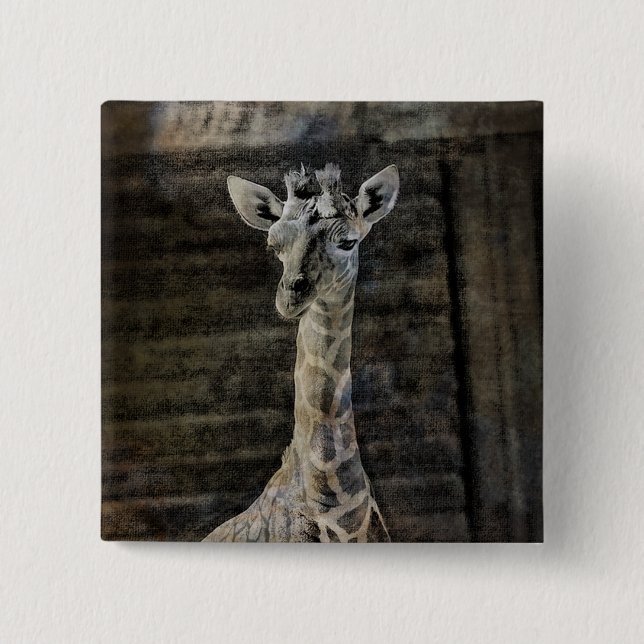 Baby Giraffe Button (Vorderseite)