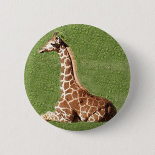 Baby-Giraffe Button