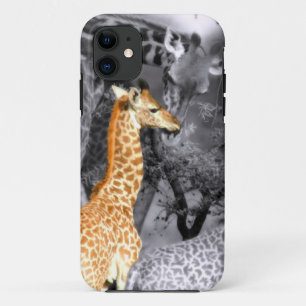 Baby-Giraffe iPhone 11 Hülle