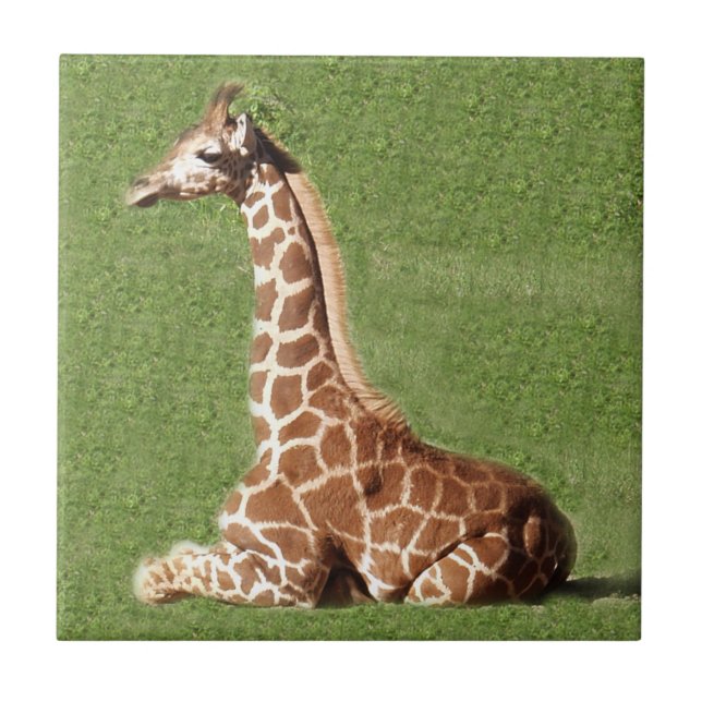 Baby-Giraffe Fliese (Vorderseite)