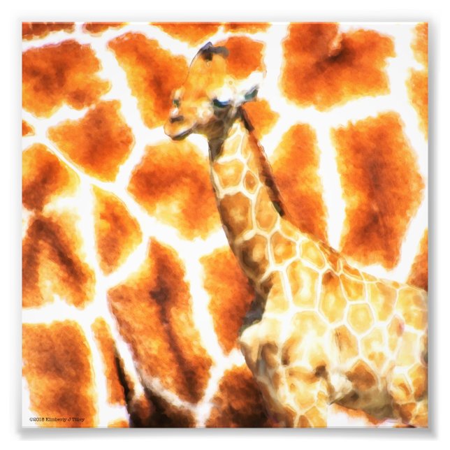 Baby Giraffe Fotodruck (Vorne)