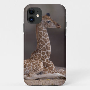 Baby-Giraffe-iPhone-5-Case-Mate-Etasche iPhone 11 Hülle