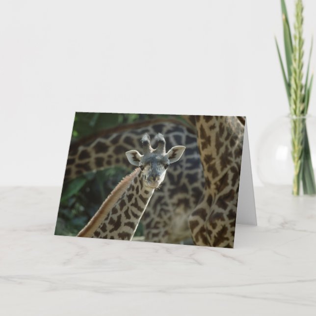 Baby Giraffe Karte (Vorderseite)