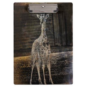 Baby Giraffe Klemmbrett