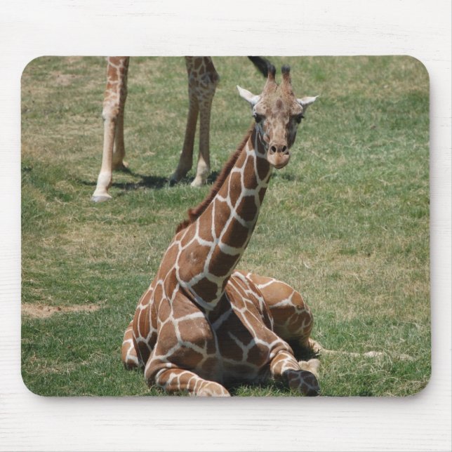 Baby-Giraffe Mousepad (Vorne)