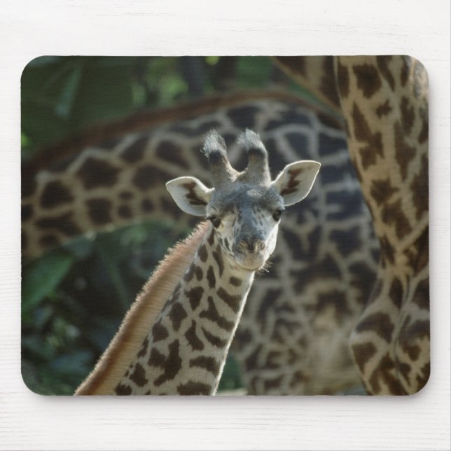 Baby Giraffe Mousepad (Vorne)