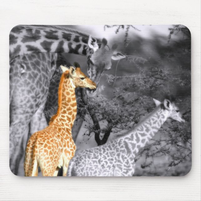 Baby Giraffe Mousepad (Vorne)