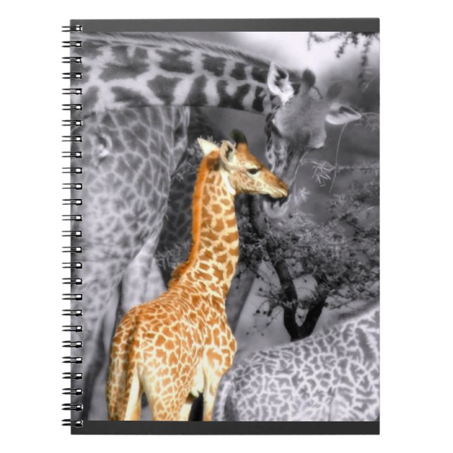 Baby Giraffe Notizblock (Vorderseite)