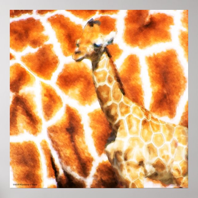 Baby Giraffe Poster (Vorne)