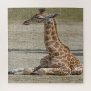 Baby Giraffe Puzzle