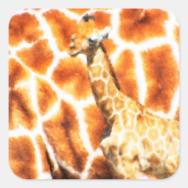 Baby Giraffe Quadratischer Aufkleber (Vorderseite)