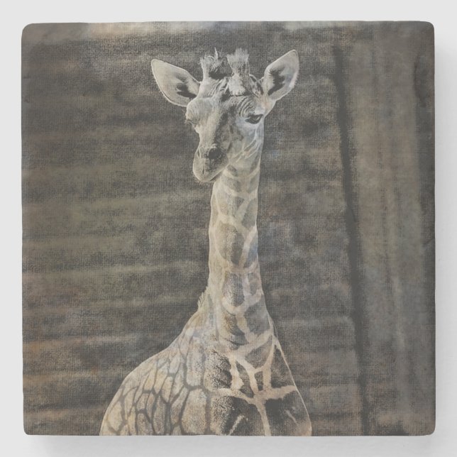 Baby Giraffe Steinuntersetzer (Vorderseite)