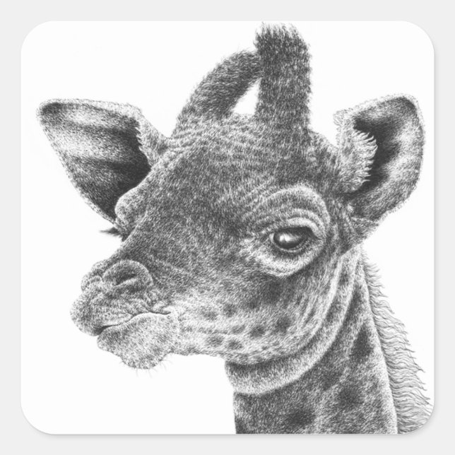 Baby Giraffe Sticker (Vorderseite)
