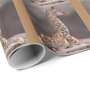 Baby-Giraffen-Geschenkpapier Geschenkpapier