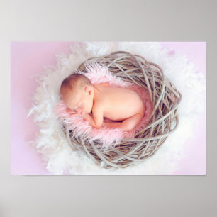 Baby Girl in ihrem Nest Poster