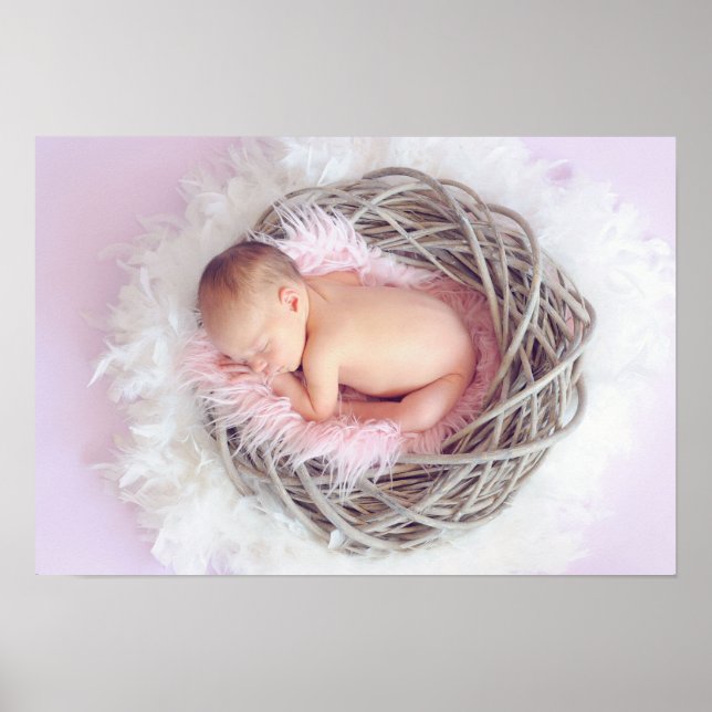 Baby Girl in ihrem Nest Poster (Vorne)