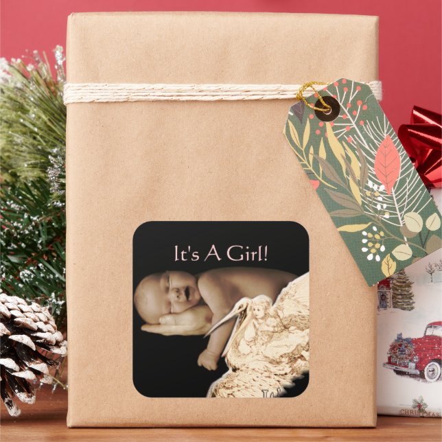 Baby Girl Stickers mit Ihrem Baby Foto (Feiertag)