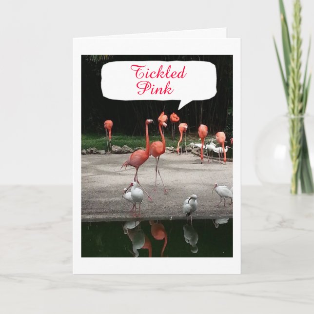 **BABY GIRL'S GEBURT** FLAMINGOS SIND GETICKT PINK KARTE (Vorderseite)