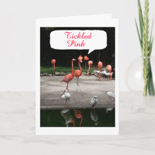 **BABY GIRL'S GEBURT** FLAMINGOS SIND GETICKT PINK KARTE