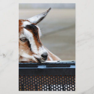Baby Goat Briefpapier