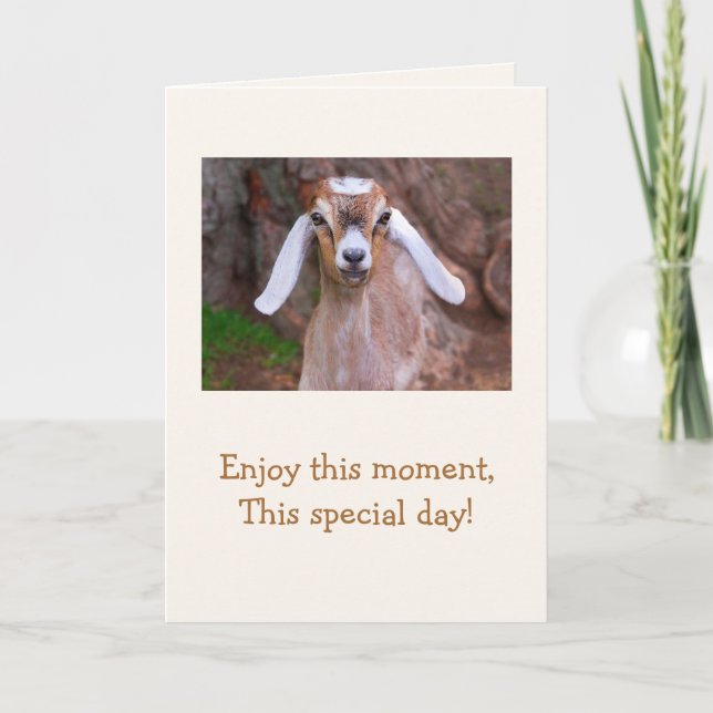 Baby Goat Wisdom Geburtstag Karte (Vorderseite)