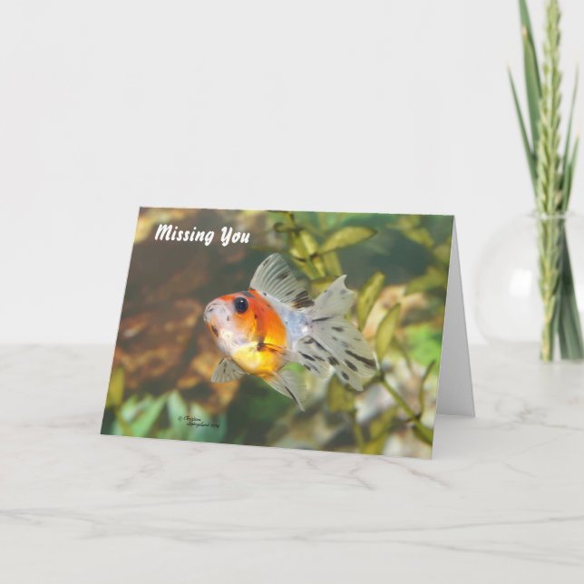 Baby Goldfish Vermisste Sie Grußkarte Karte (Vorderseite)