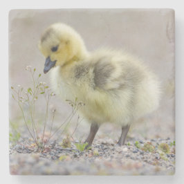 Baby Goose Untersetzer
