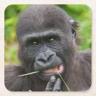 Baby Gorilla Cutness Rechteckiger Pappuntersetzer