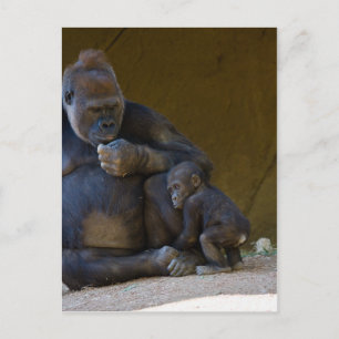 Baby Gorilla Postkarte