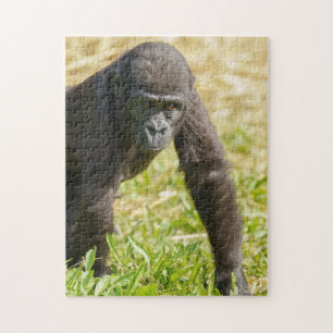 Baby Gorilla Puzzle