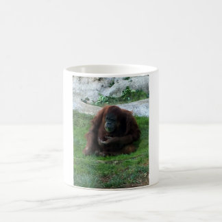 Baby-Gorilla Tasse