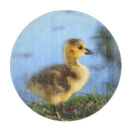 Baby Gosling Round Cutting Board Schneidebrett